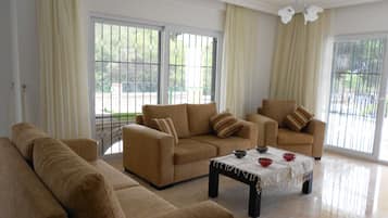 TV, fireplace, DVD player, books