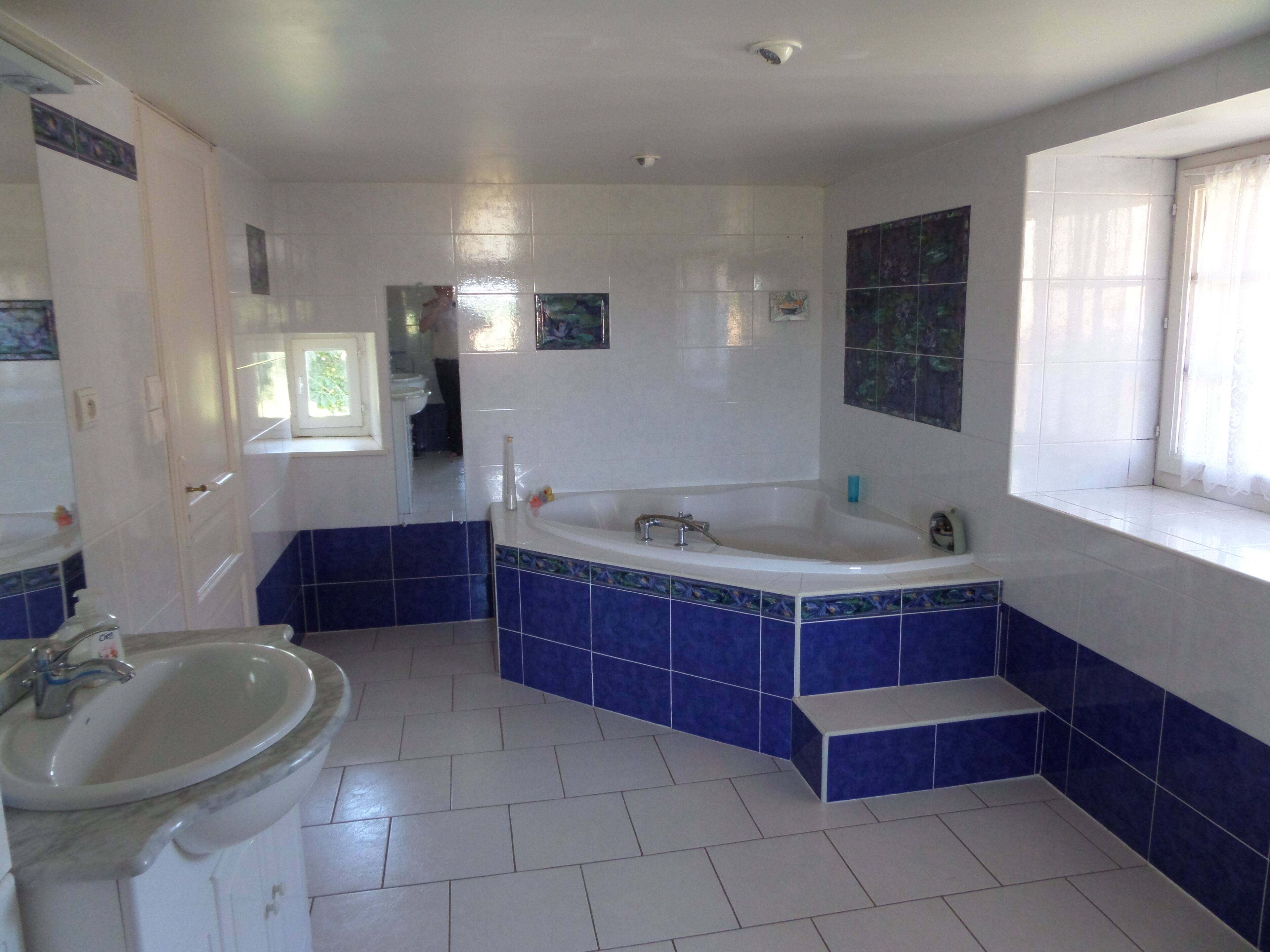 Large 1850’s Charentais farmhouse with swimming pool 400 metres from Monkey Park