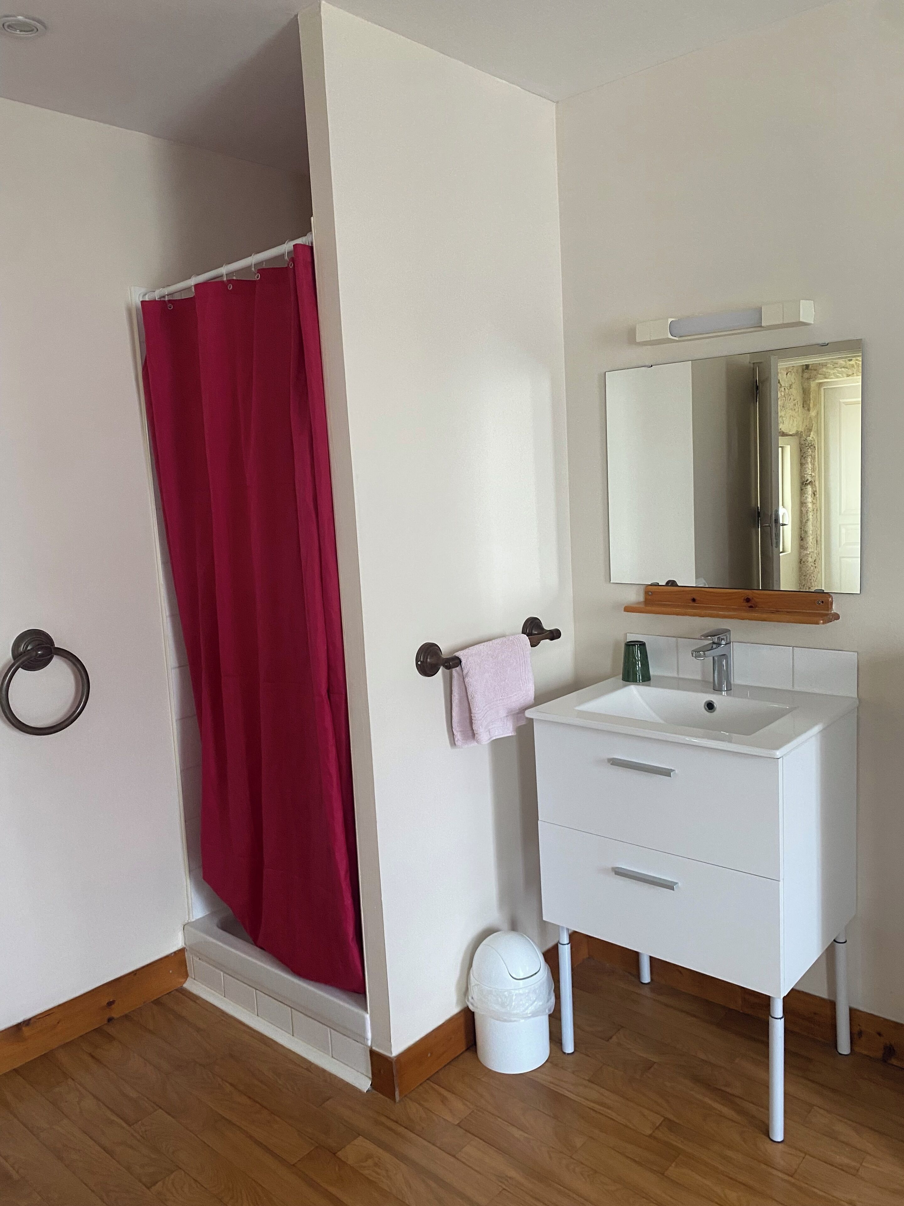 A bathroom with a white vanity, a mirror, a red shower curtain, and a white trash bin.