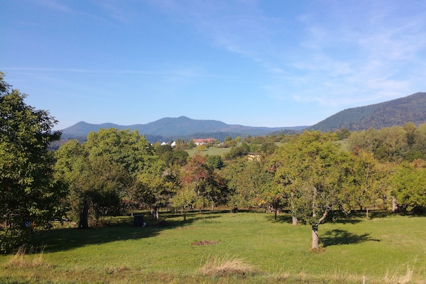 Vue panoramique sur le massif vosgien