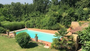 Patio con piscina rodeado de exuberante vegetación y un pequeño jardín.