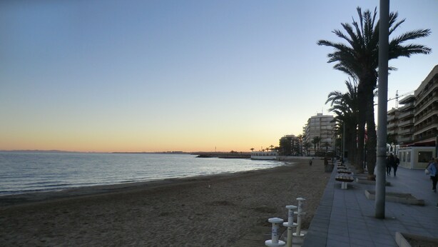 A beachside promenade with a wooden walkway, benches, and palm trees. - Holiday Houses - Playa del Cura 2 (Torrevieja)