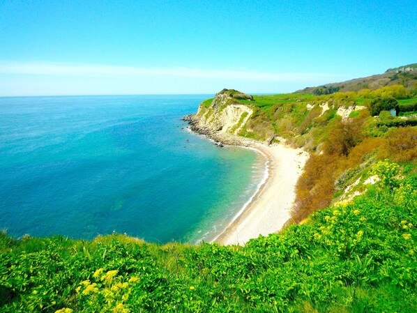 Sun loungers - MANOR ON COAST WITH SEA VIEWS, TENNIS COURT, BIG GAMES ROOM + BAR, GARDENS (Ventnor)