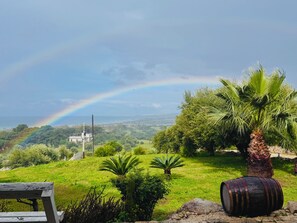 Property grounds - Single villa with private pool and lovely sea view (Cava D'aliga)