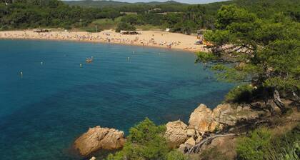 Detached house with a large garden and a huge pool