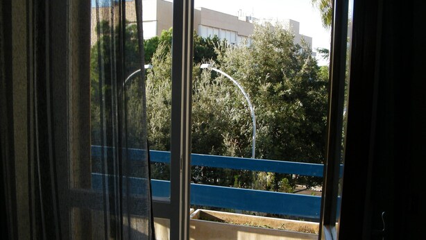 Vista a través de una ventana con cortinas, que muestra un balcón con suelo estampado, barandilla azul y árboles al fondo.