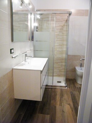 Shower, hair dryer, bidet, towels