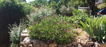 Charmig halv villa W pool, nÀra Montpellier, Pezenas & kust.