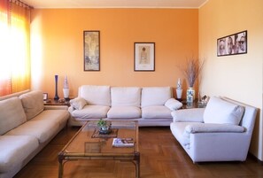 TV, DVD player, books, music library