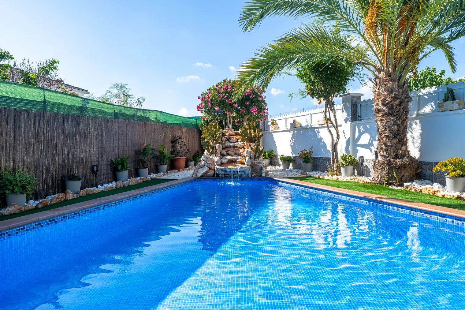 Une piscine à l’eau d’un bleu cristallin, entourée d’une clôture en bois, d’un palmier et de diverses plantes en pot.