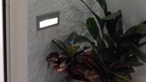 A corner of a room with a white brick wall, a potted plant on the wall, a window, and a plant on the floor. - Interior design and exclusive design (Sevilla)