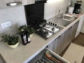 Fridge, microwave, stovetop, dishwasher