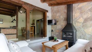 TV, fireplace, books, stereo
