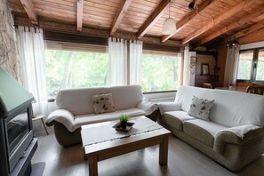 Televisio, takka, kirjoja, stereot