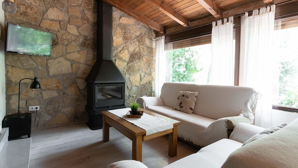 Una sala de estar acogedora con pared de piedra, chimenea, sofá y televisor.