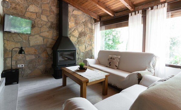 TV, fireplace, books, stereo