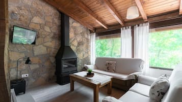 TV, fireplace, books, stereo