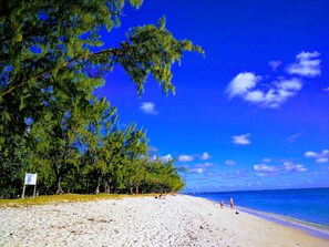 Serviettes de plage
