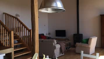 Televisión, chimenea, reproductor de DVD y libros