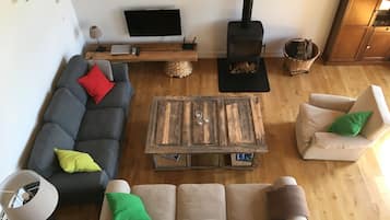 Televisión, chimenea, reproductor de DVD y libros