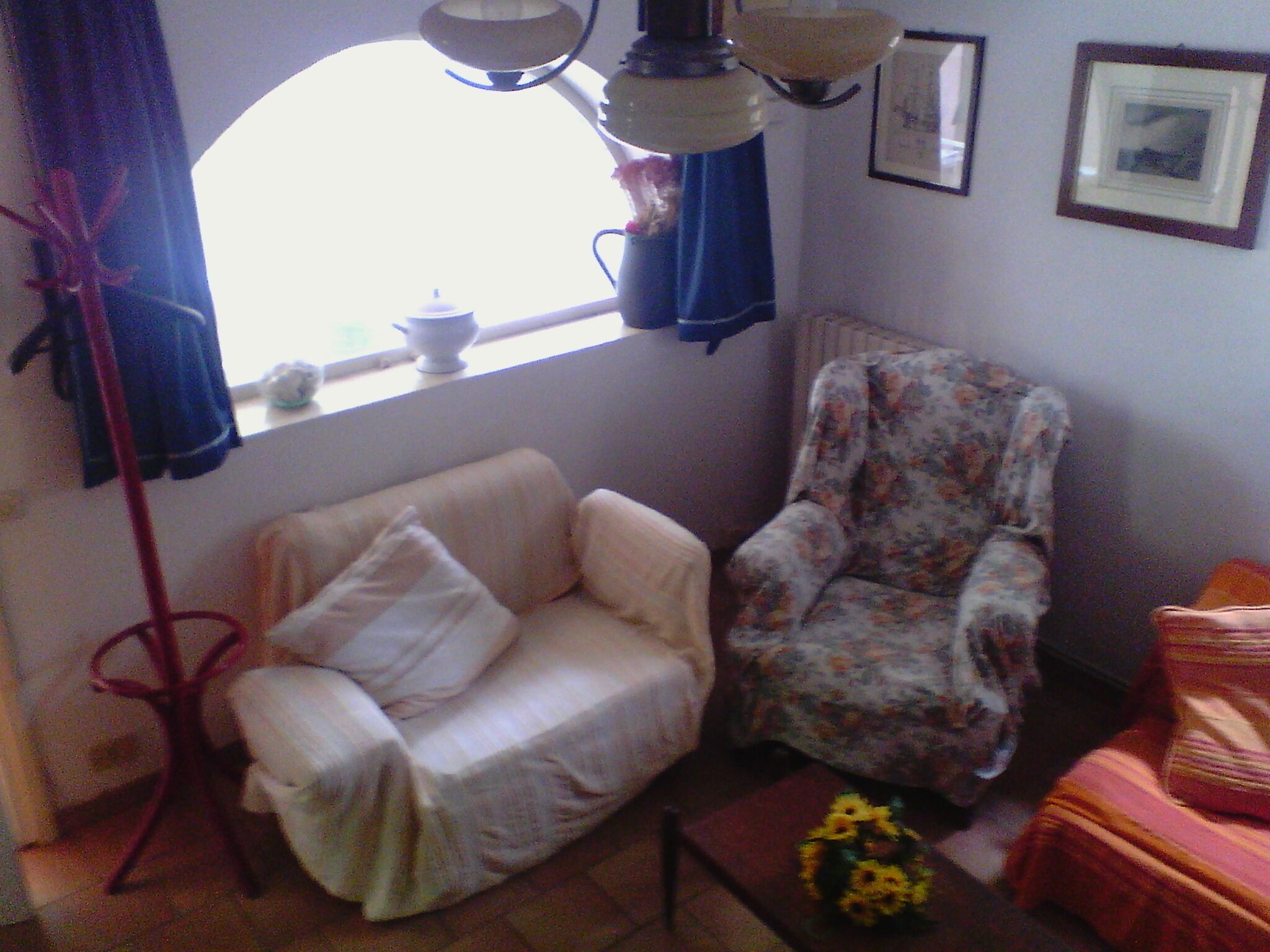 Romantic cottage between sea and pine forest. elegant area, sleeps 9