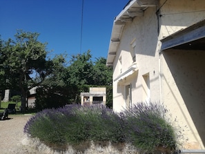 Property grounds - Enclosed air-conditioned house near St Emilion with garden and private pool (Tayac)