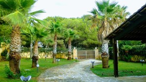 A stone pathway leading to a gated entrance surrounded by palm trees and greenery. - ✭Autonomous villa of recent construction in the island of Favignana (EGADI) (Favignana)