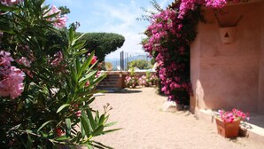 En trädgårdstig som leder fram till en byggnad med en pergola som är täckt av rosa blommor.