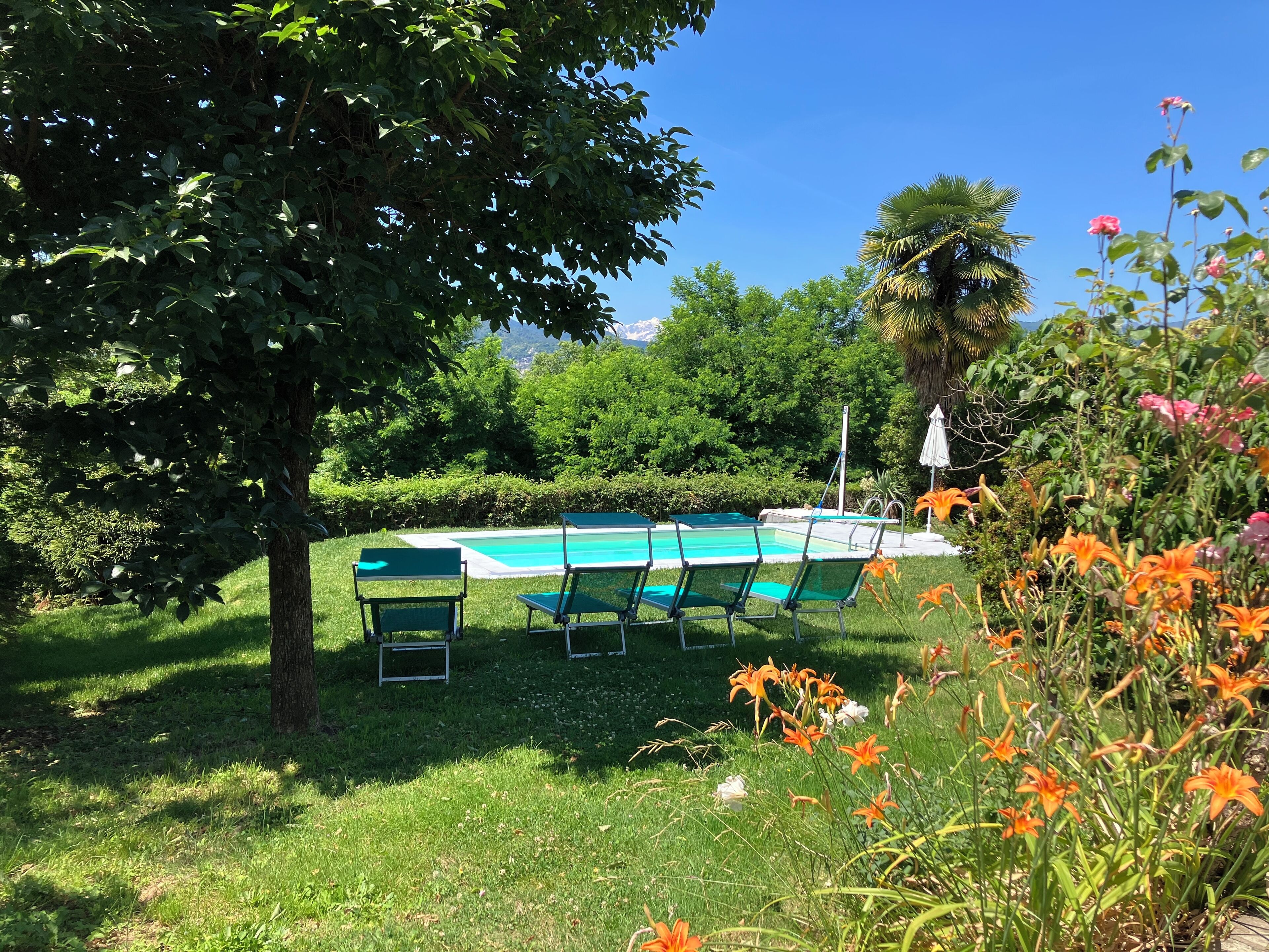 Un espace piscine avec des chaises vertes et un palmier.