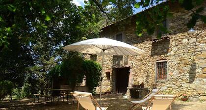 Ancient stone house in the heart of the Chianti Classico