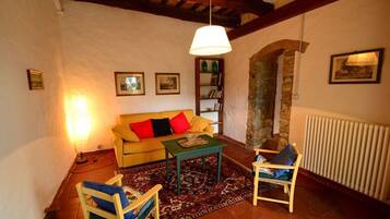 TV, fireplace, books