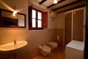 Bathroom features a fixed shower enclosure, sink, mirror, toilet, and bidet.