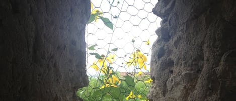 DĂ©tail de lâextĂ©rieur