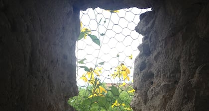 Gy en Sologne, cabaña tradicional de Solognot en el centro del pueblo