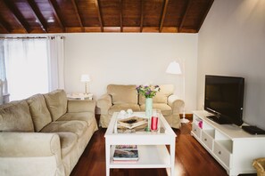 TV, DVD player, books, stereo