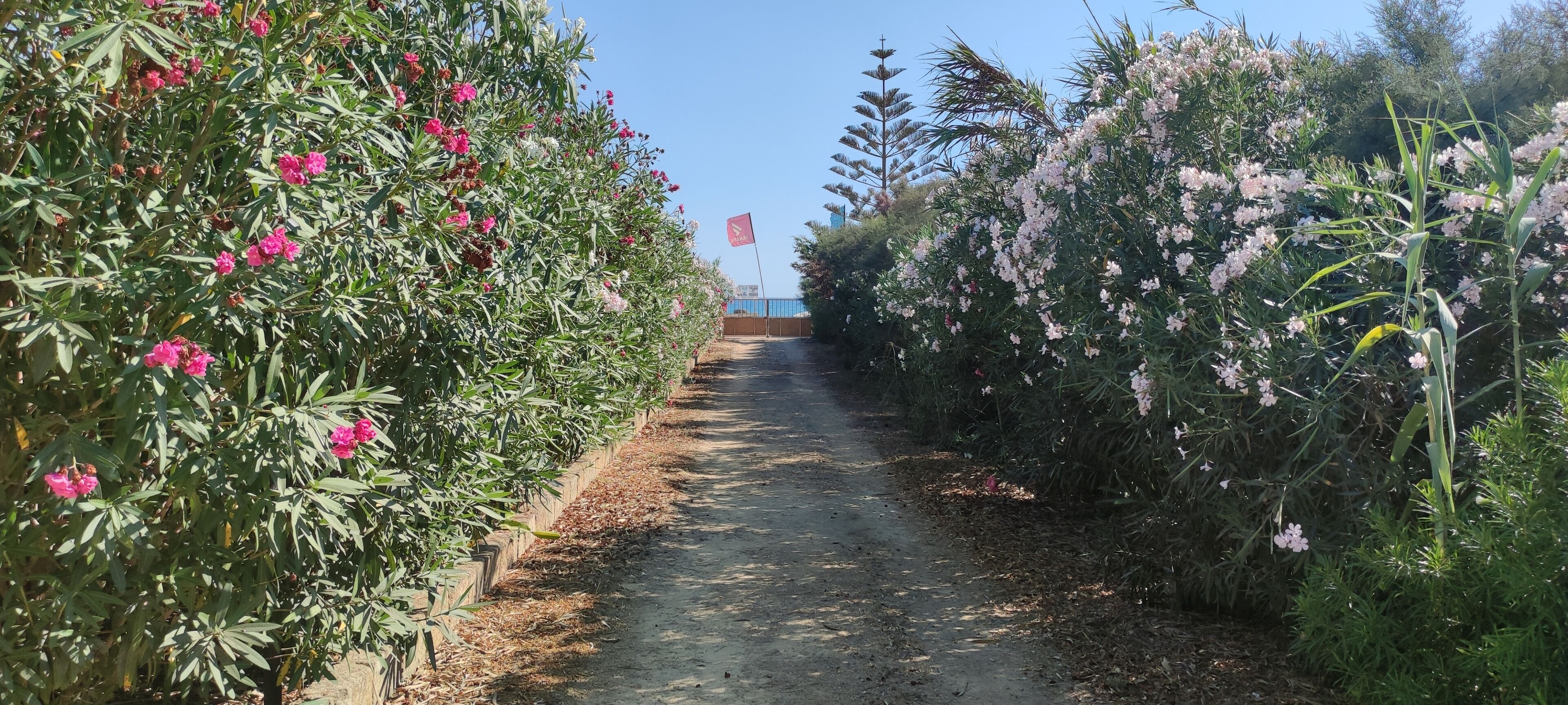 Parco della struttura