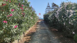 Terrain de l’hébergement 