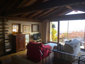 Televisor intel·ligent, videojocs, reproductor de DVD i llibres 