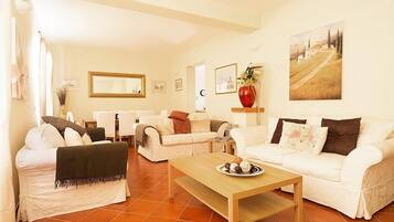 TV, fireplace, DVD player, books