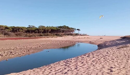 Air-conditioned standing apartment facing the sea (20 m from the beach)