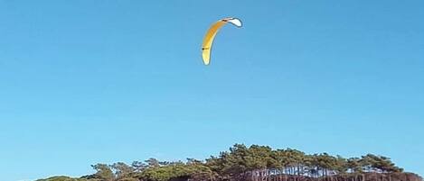 A beach with a clear sky and a yellow parachute-like object. There are trees and a few parked vehicles in the background.