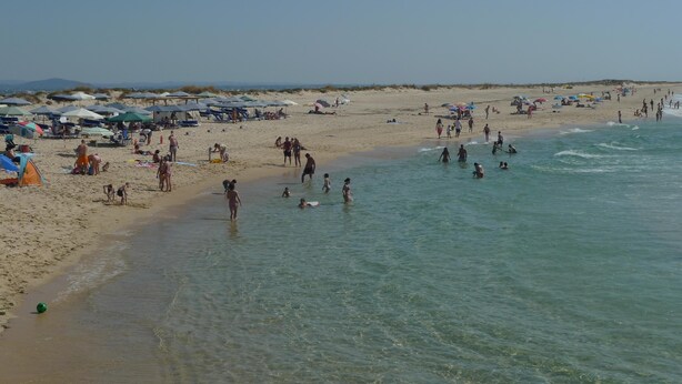 Una playa con gente nadando y caminando por la orilla, sombrillas y sillas de playa.