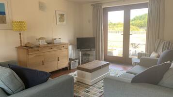 Smart TV, DVD player, books