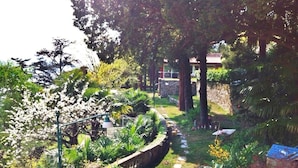 Un jardin avec un chemin en pierre, différentes plantes et une bâche bleue sur la droite.
