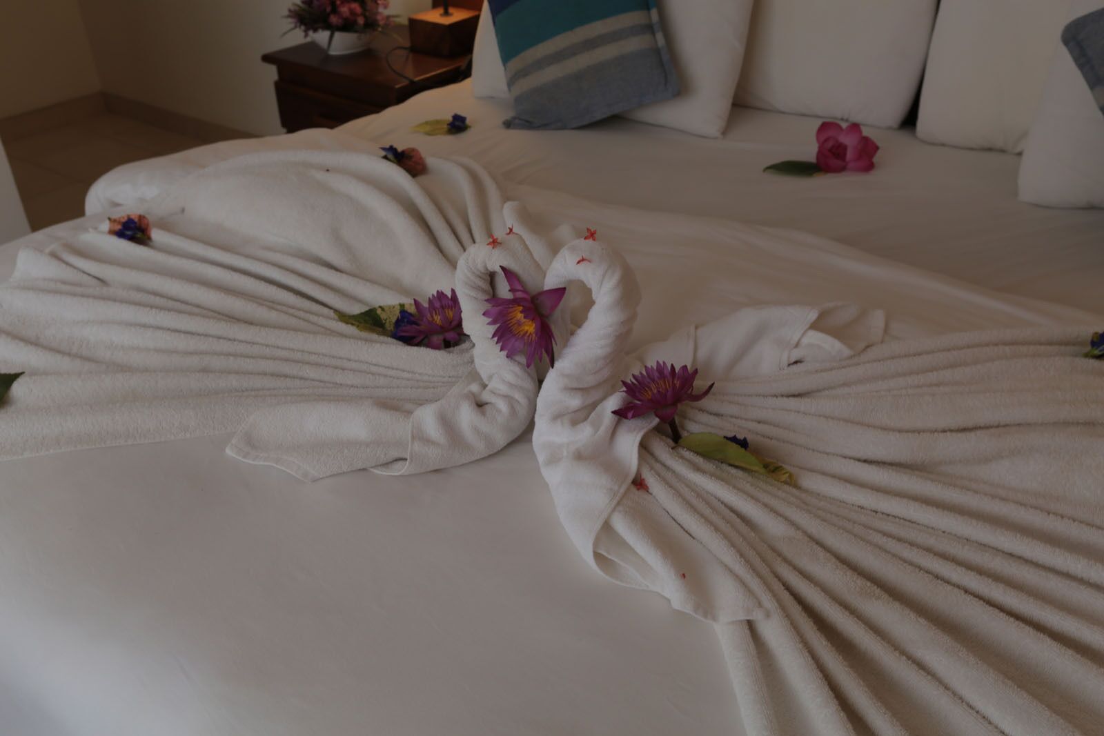 5 多间卧室、熨斗/熨衣板、免费 WiFi、床单