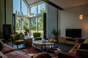 Fernseher, Kamin, Bücher