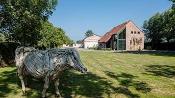 Terrein van de accommodatie