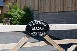 Unclassified image, 2 of 12, button