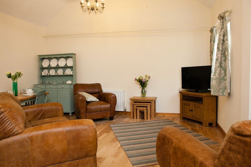 TV, DVD player, books