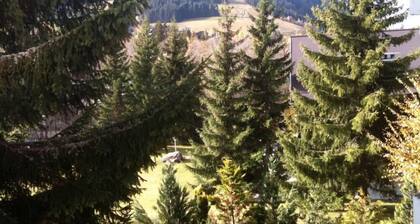 Ferienwohnung - Megeve